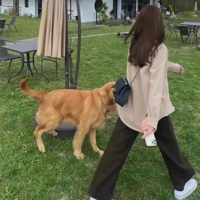 绝对忠诚
