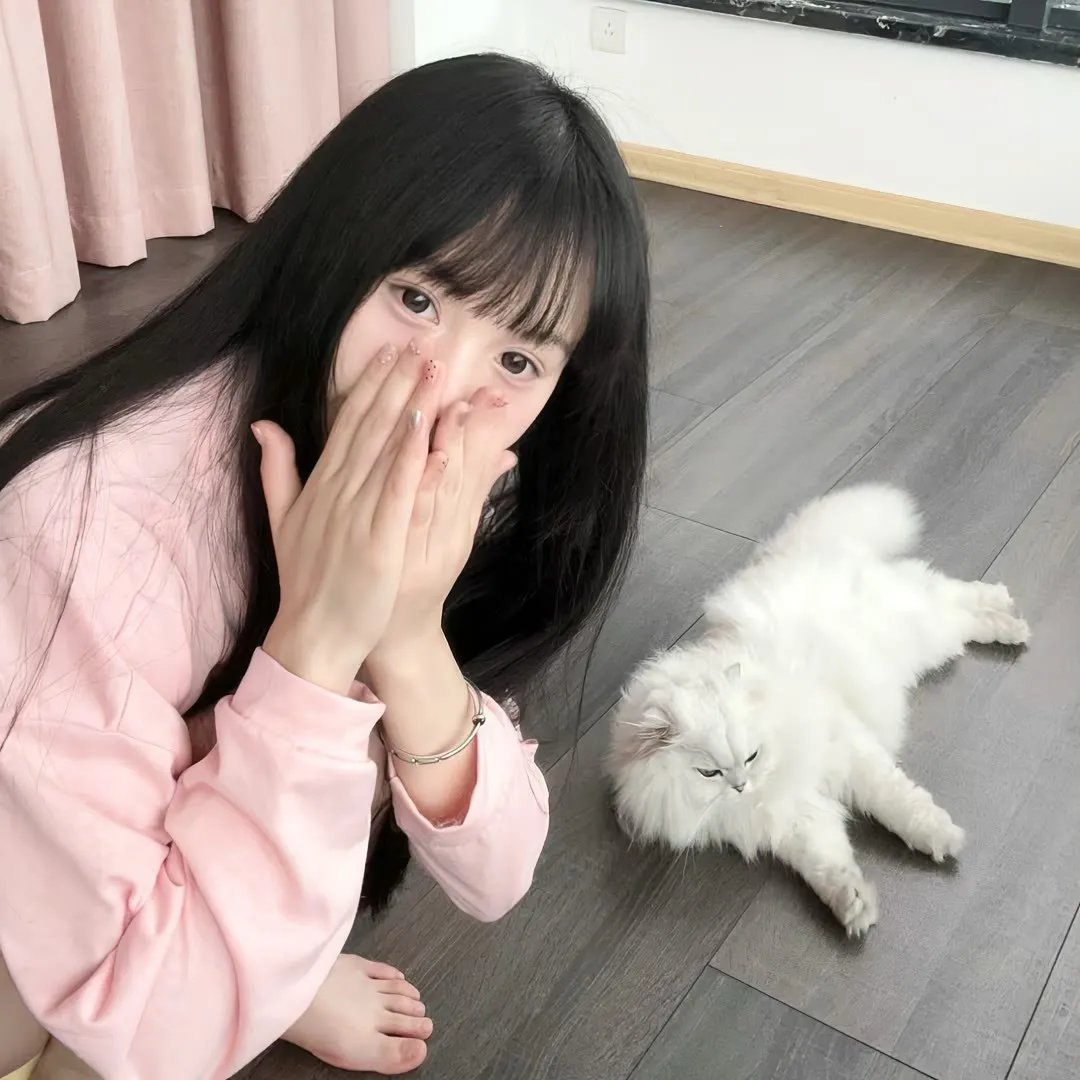 猛虎嗅蔷薇之替天行盗